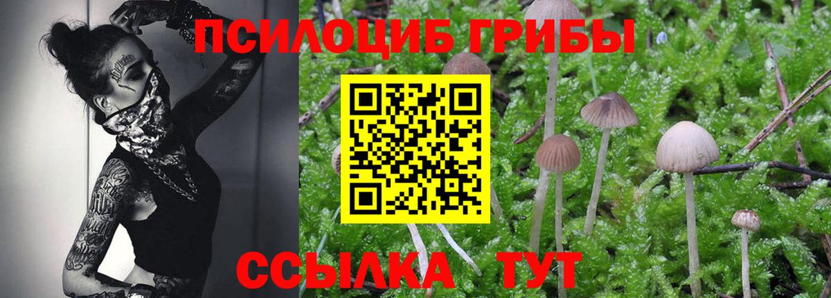 Галлюциногенные грибы Psilocybe  Псилоцибиновые грибы MAGIC MUSHROOMS  Люберцы  Вход с VPN 